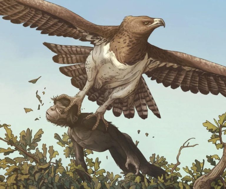 New Zealand's Fearsome Predator: The Haast's Eagle - Goldengate ...