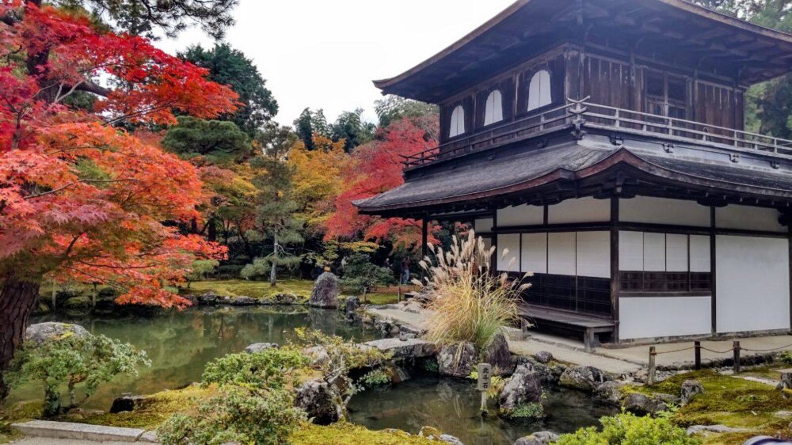 kebun-zen-filosofi-dan-keindahan-alam-jepang