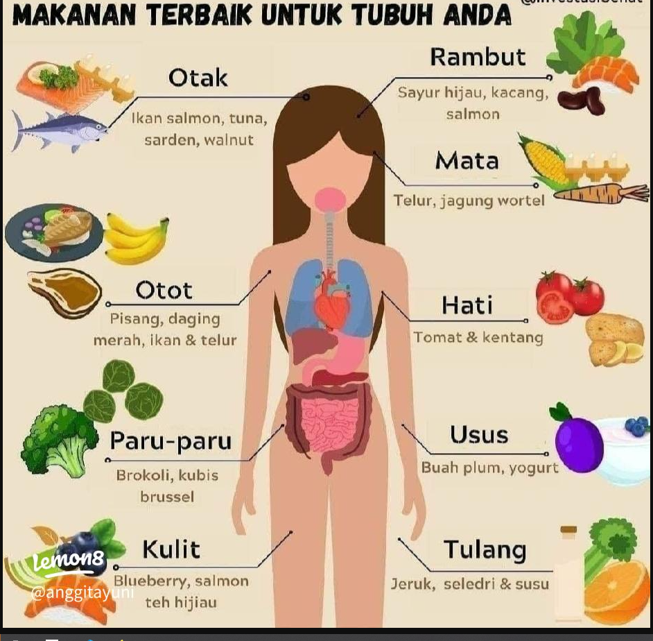 Ini Dia Makanan Terbaik dan Terburuk untuk Tubuhmu, Jangan Sampai Salah Pilih!